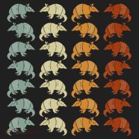 Retro Wild Nature Armadillo Lover Animal Armadillo Hat thumb 2