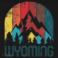 Retro Wyoming Hoodie thumb 2