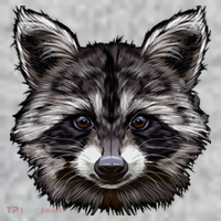 Raccoon Whisperer Raccoons Raccoon Lover Raccoon Sweatshirt thumb 2