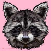 Raccoon Whisperer Raccoons Raccoon Lover Raccoon Coaster thumb 2
