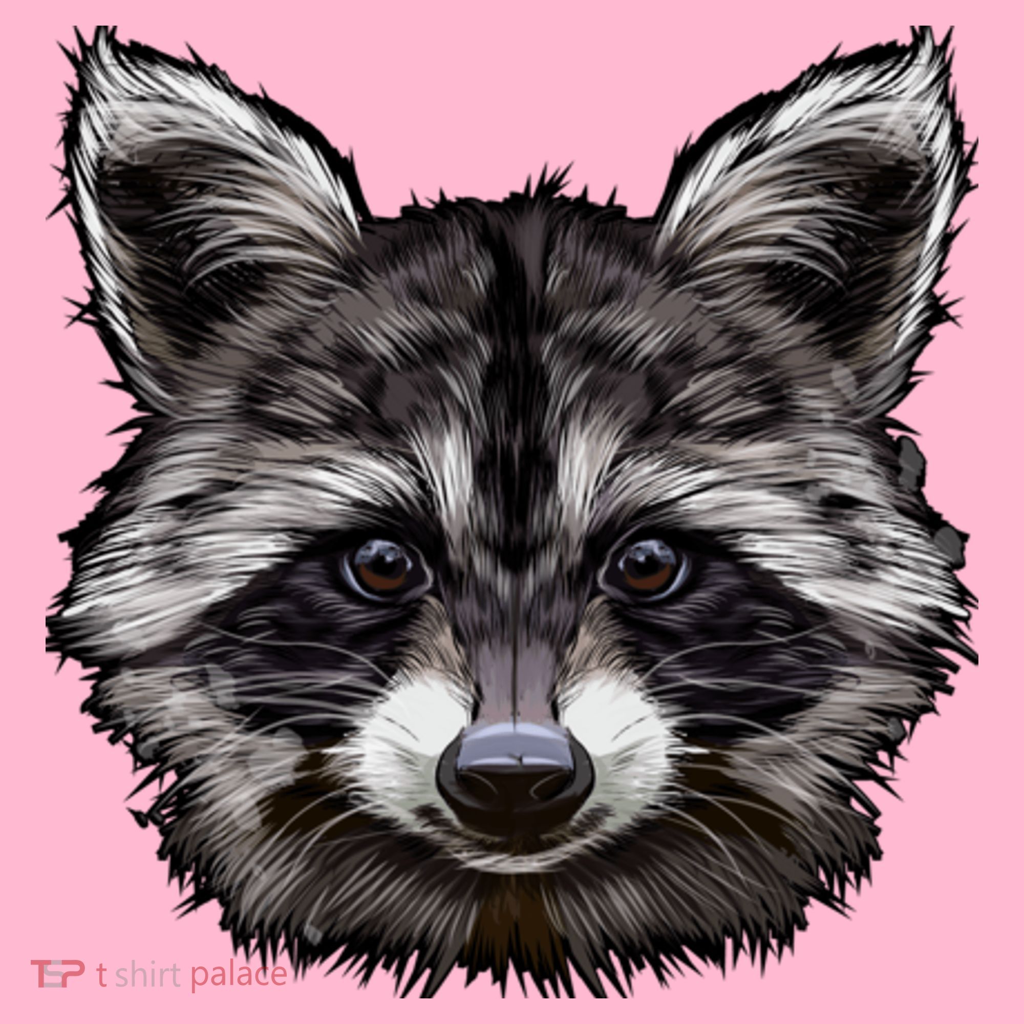 Raccoon Whisperer Raccoons Raccoon Lover Raccoon Coaster