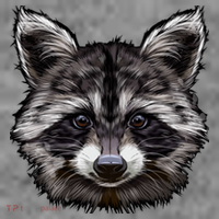 Raccoon Whisperer Raccoons Raccoon Lover Raccoon Toddler Hoodie thumb 2