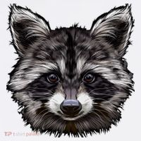 Raccoon Whisperer Raccoons Raccoon Lover Raccoon Women's Hoodie thumb 2