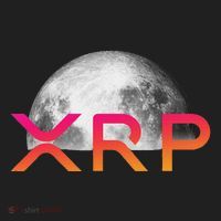 Ripple Xrp Coin Moon Xrp Army Crypto Cryptocurrency Beanie thumb 2