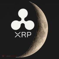 Ripple Xrp Moon Proud Ripple Hodler Ornament thumb 1