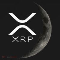 Ripple Xrp Moon Long Sleeve Shirt thumb 2