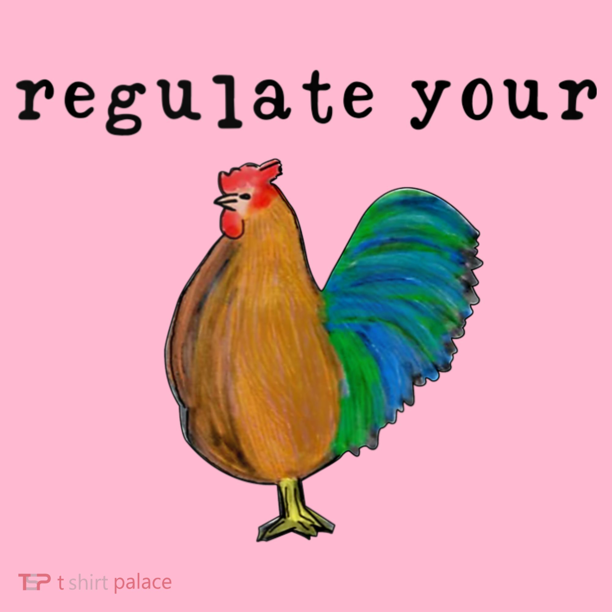 Regulate Your Dick Pro Choice Feminist Women's Rights Coaster