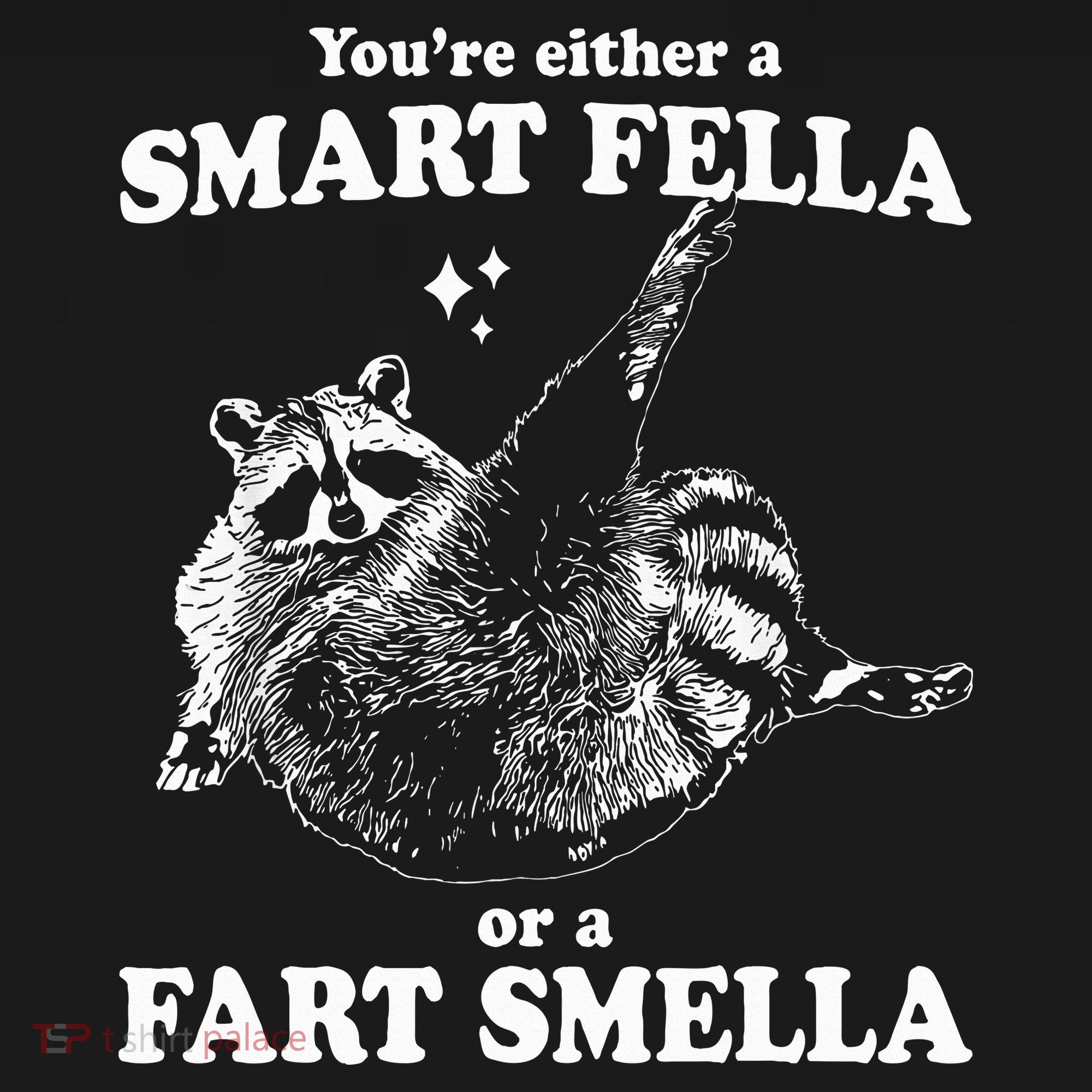 Raccoon YouRe Either A Smart Fella Or A Fart Smella Long Sleeve Shirt