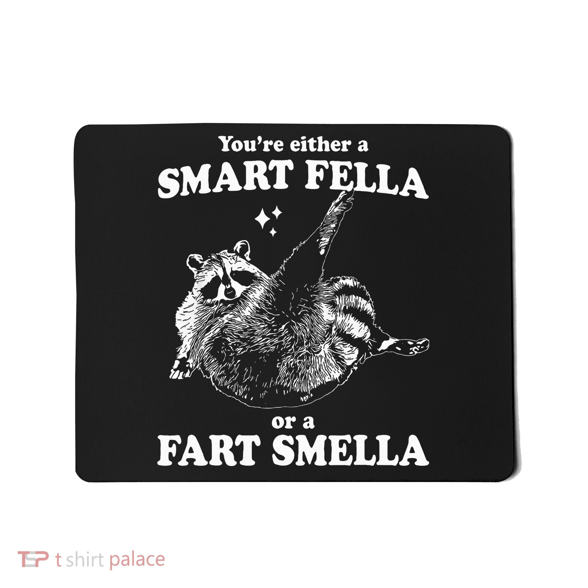 Raccoon YouRe Either A Smart Fella Or A Fart Smella Mousepad