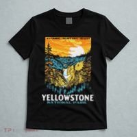 Retro Yellowstone National Park Wpa Style Lower Falls T-Shirt thumb 5