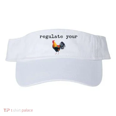 Visor