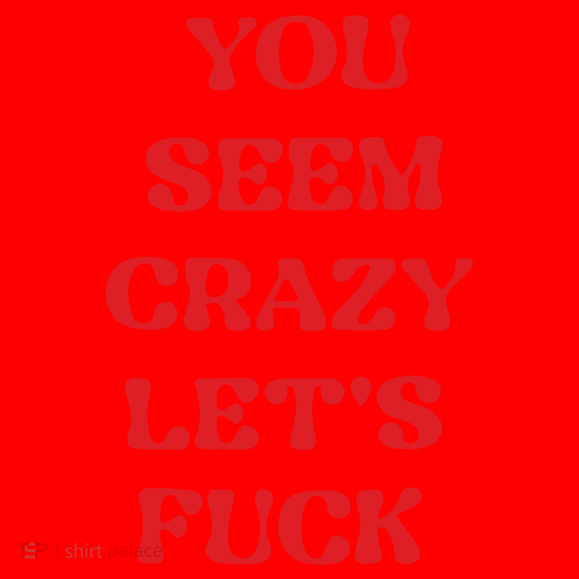 Rockstar You Seem Crazy LetS Fuck Santa Hat