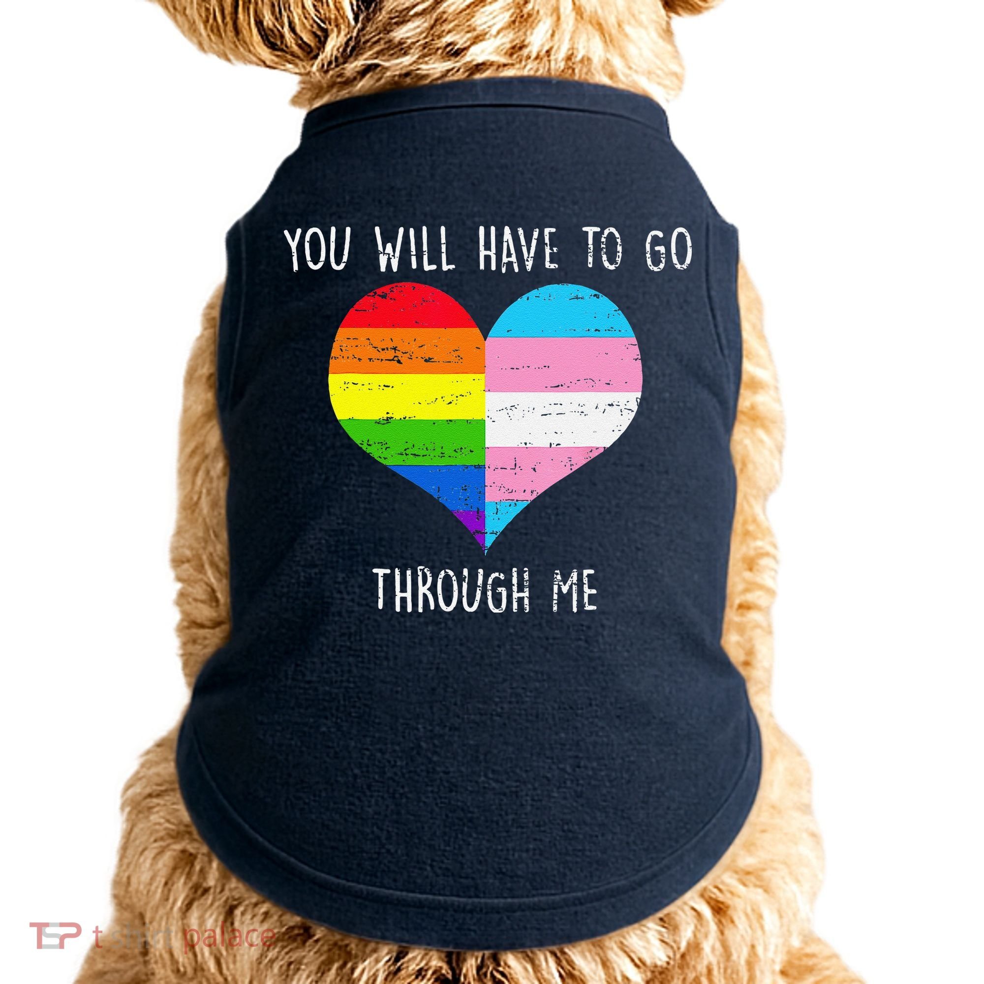 Retro You Will Have To Go Through Me Lgbtq Transg Doggie Tank