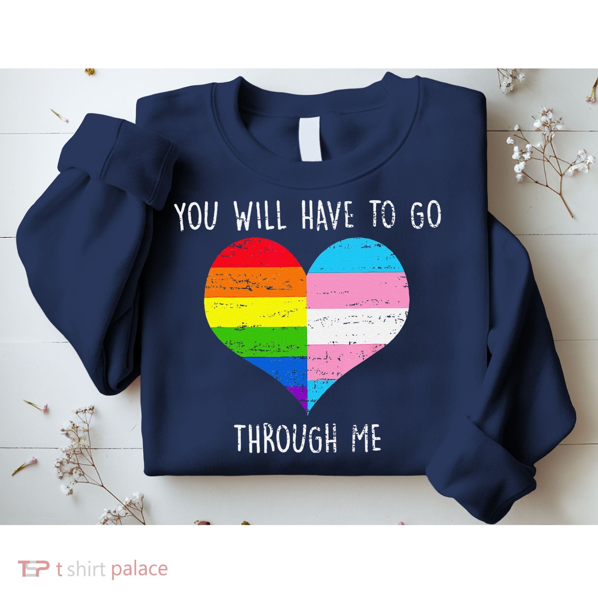 Retro You Will Have To Go Through Me Lgbtq Transg Sweatshirt