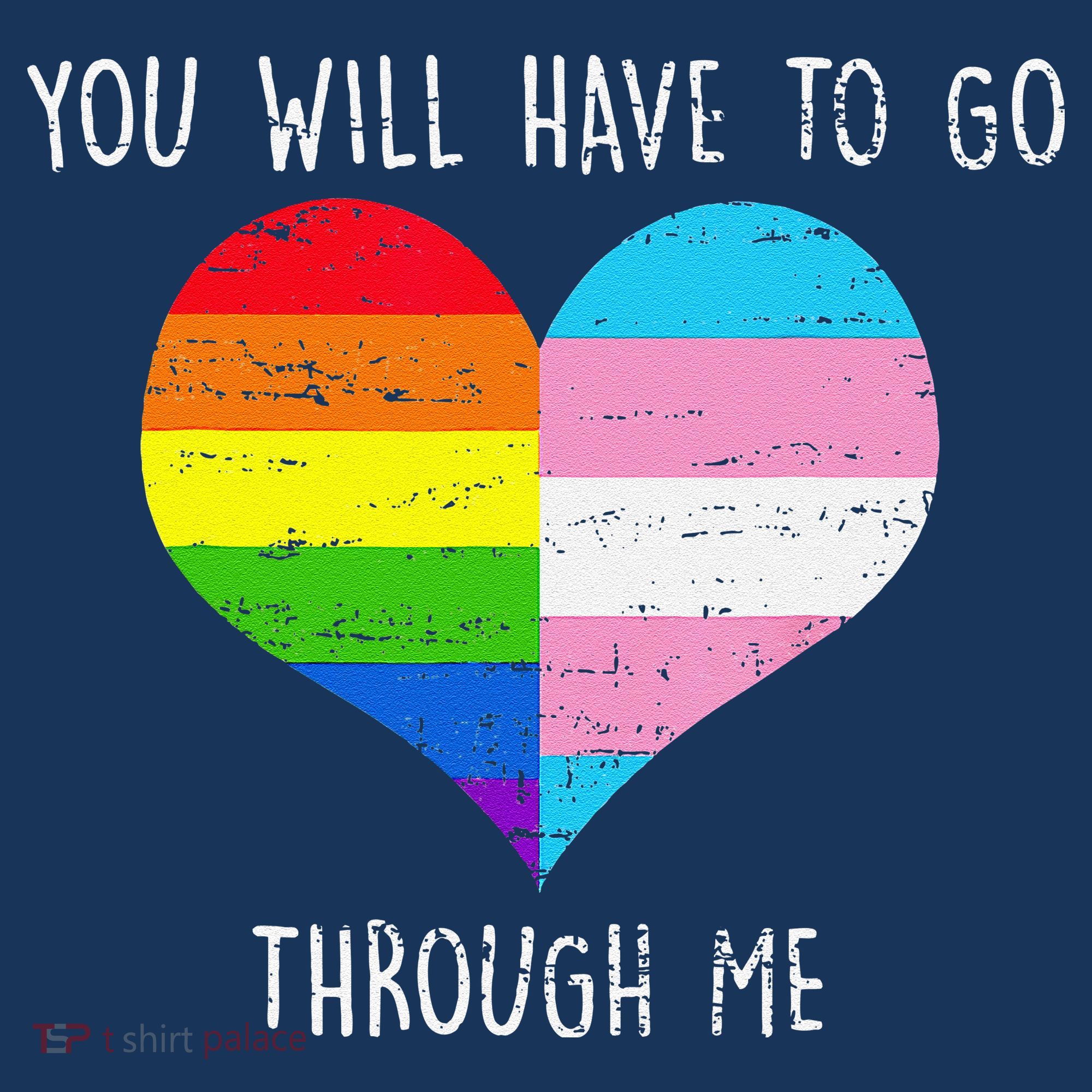 Retro You Will Have To Go Through Me Lgbtq Transg Women's Hoodie