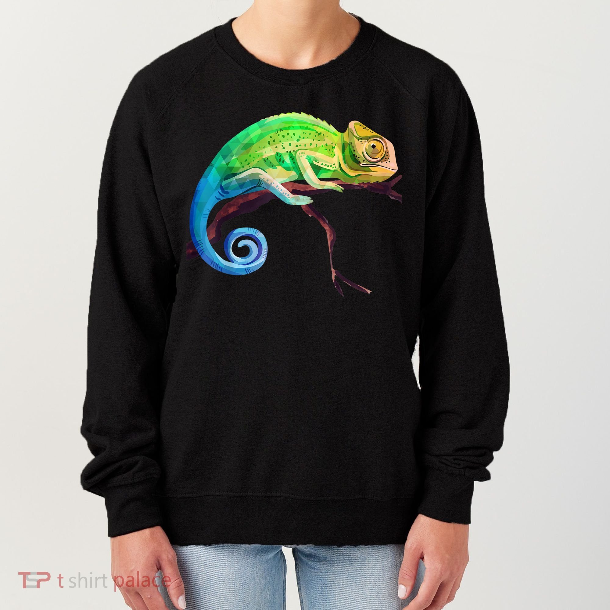 Reptile Zoo Keeper Idea Lizard Safari Chameleon Women's Sweatshirt
