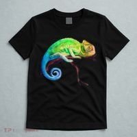 Reptile Zoo Keeper Idea Lizard Safari Chameleon T-Shirt thumb 5