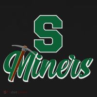 S Minors Sport Team Logo Toddler Hoodie thumb 2