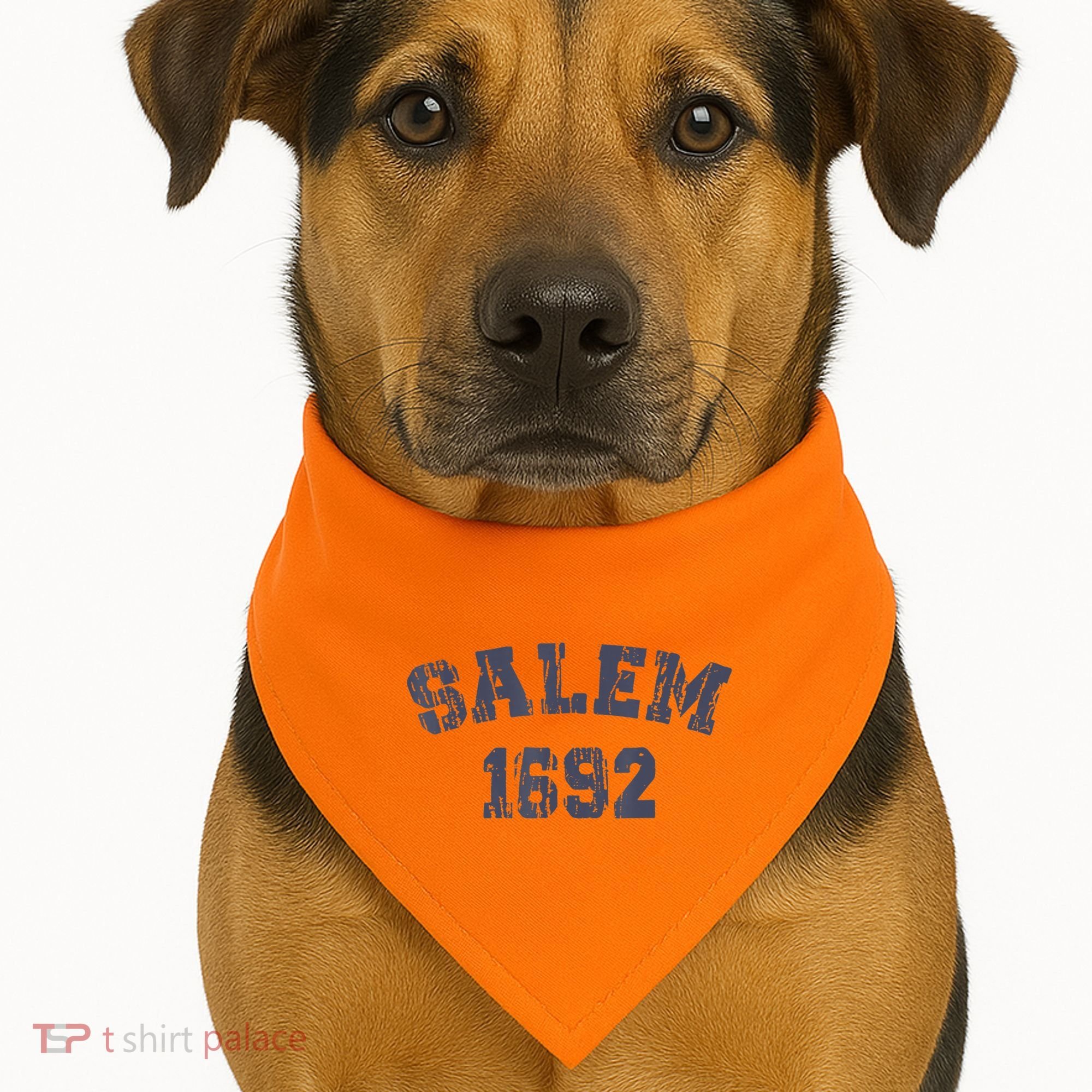 Salem 1692 Halloween Witch Retro USA-Made Doggie Bandana