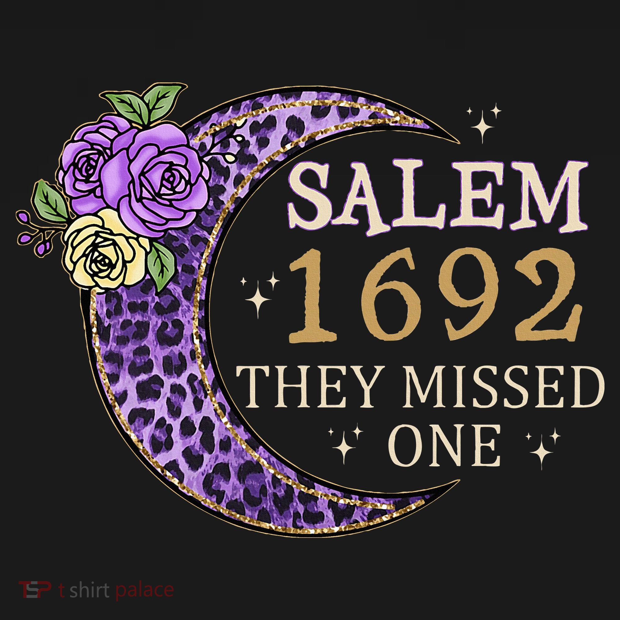 Salem 1692 They Missed One T-Shirt