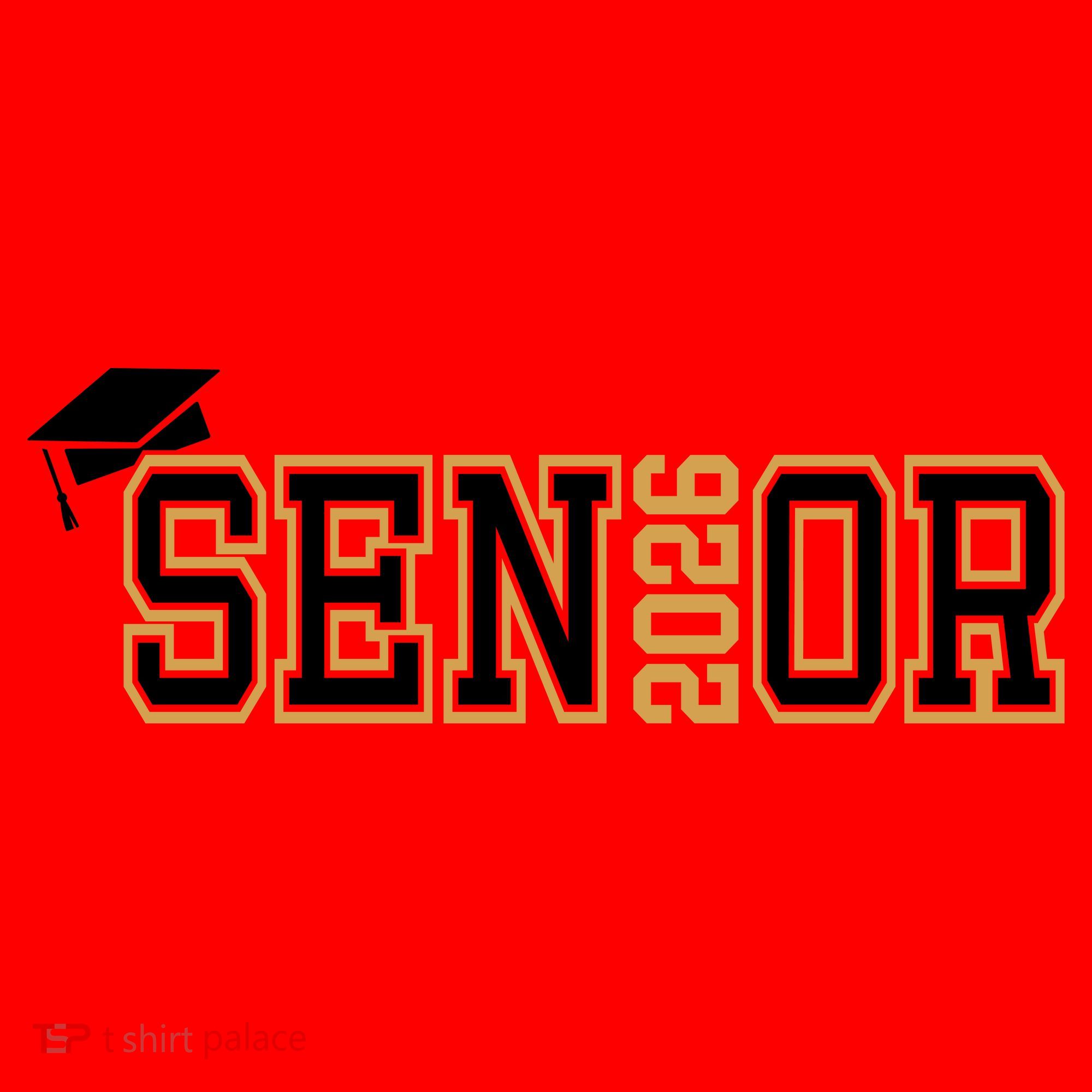 Senior 2026 Graduation Santa Hat