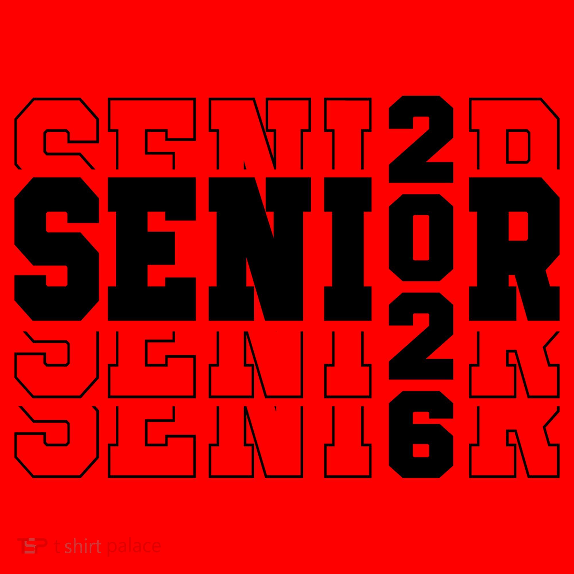 Senior 2026 High School Graduation Santa Hat
