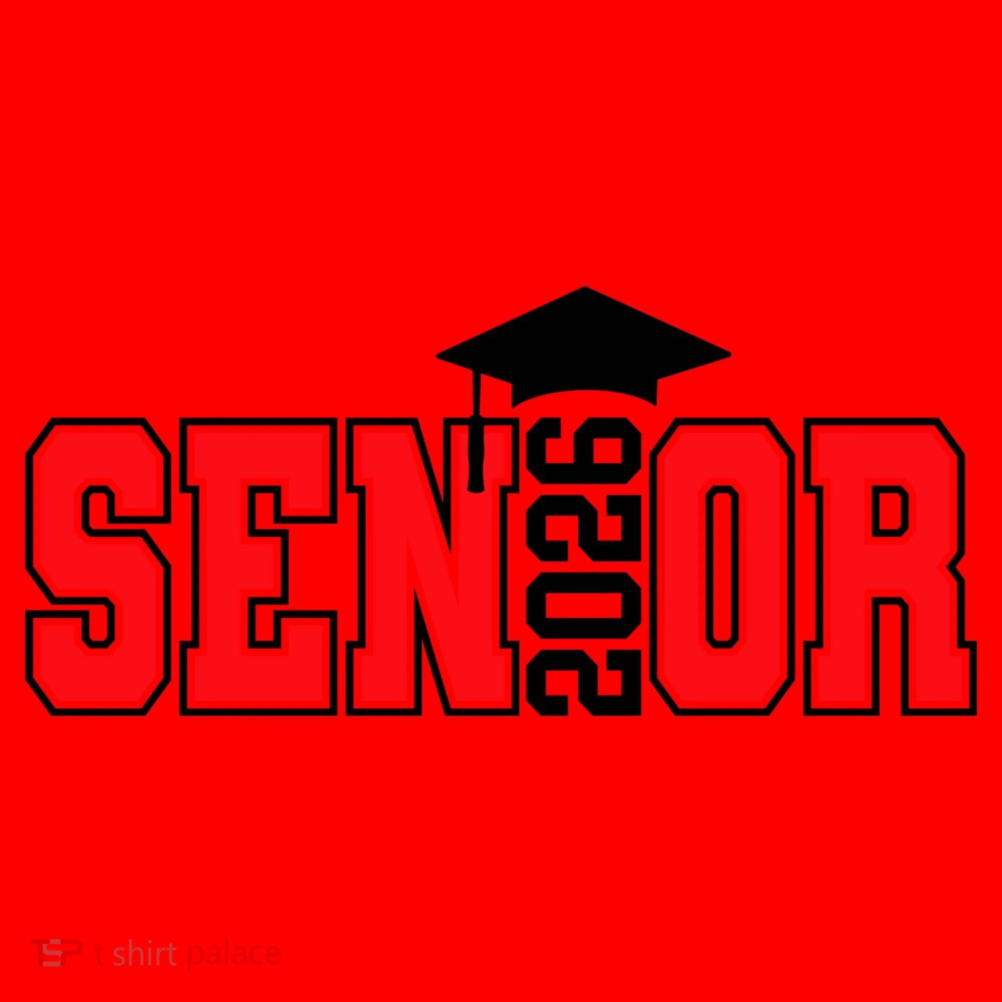 Senior 2026 Santa Hat