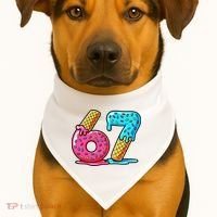 Sweet 67 Dessert Themed Ice Cream Drip 6-7 Meme USA-Made Doggie Bandana thumb 1