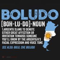 Sarcastic Argentinian Argentina Funny Boludo Definition Meaningful Gift Women's Hoodie thumb 2
