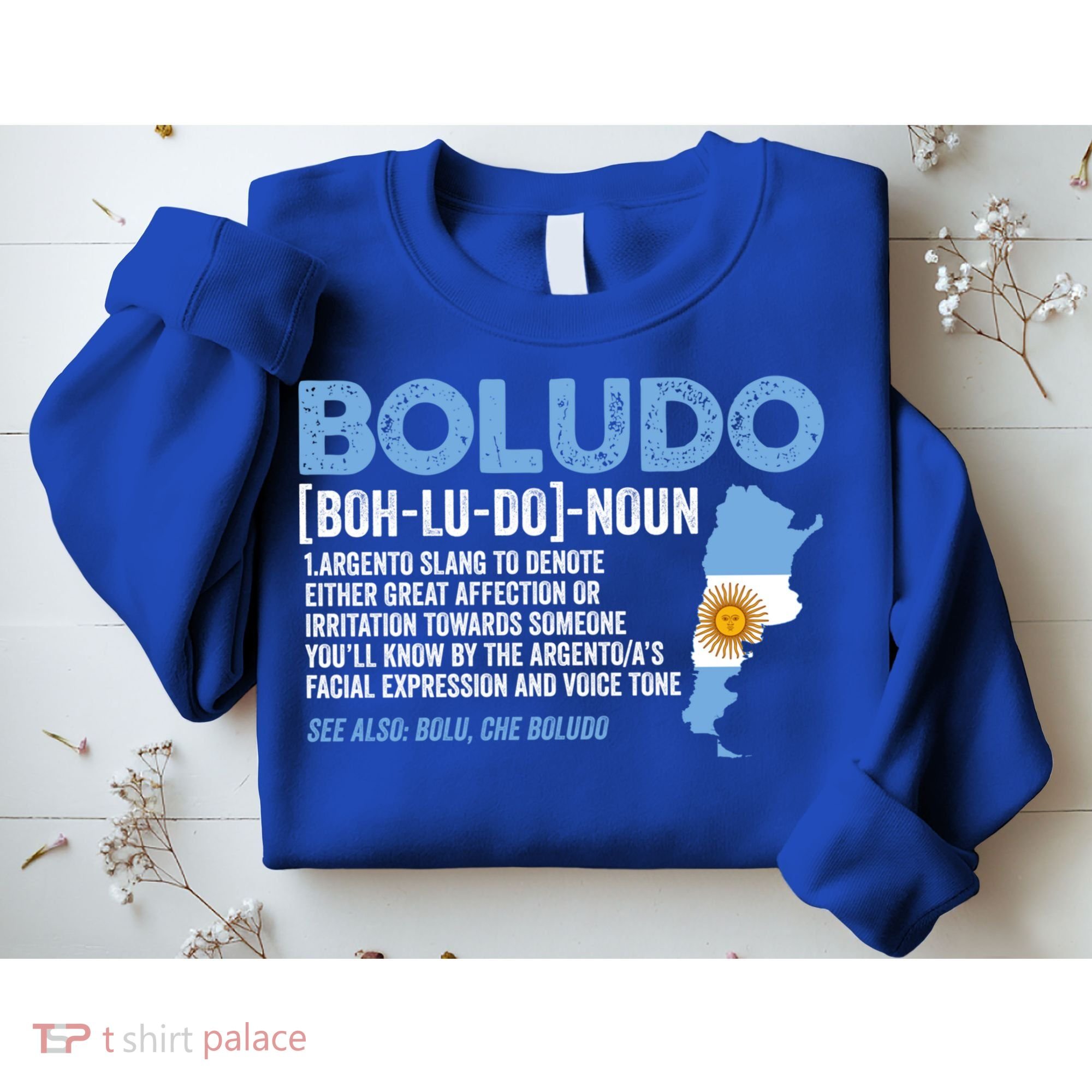 Sarcastic Argentinian Argentina Funny Boludo Definition Meaningful Gift Sweatshirt