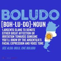 Sarcastic Argentinian Argentina Funny Boludo Definition Meaningful Gift Women's Tank Top thumb 5
