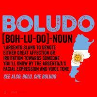 Sarcastic Argentinian Argentina Funny Boludo Definition Meaningful Gift Santa Hat thumb 1