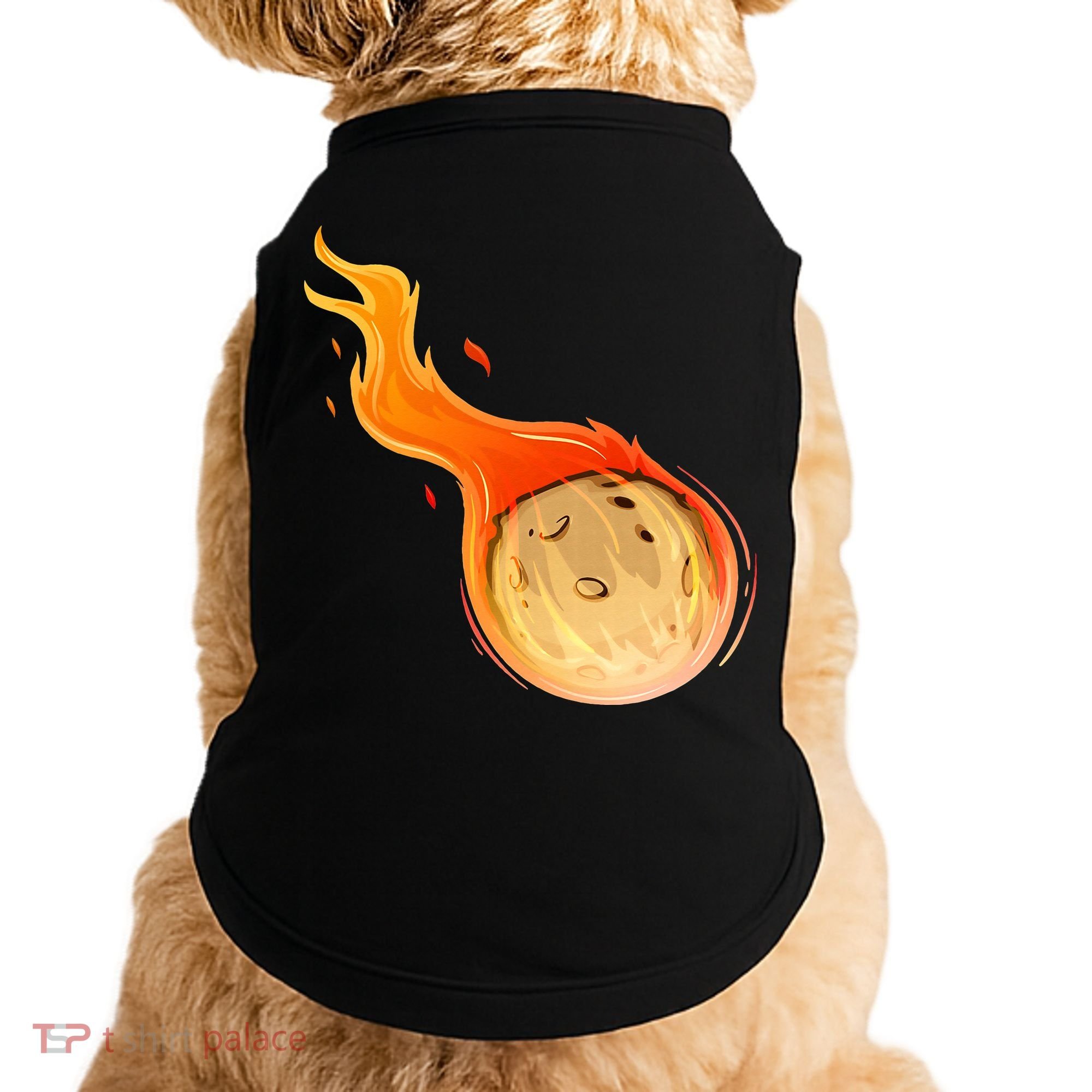 Stone Asteroid Belt Meteorite Flying Space Rock Astronomy Doggie Tank