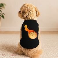 Stone Asteroid Belt Meteorite Flying Space Rock Astronomy Doggie Tank thumb 2