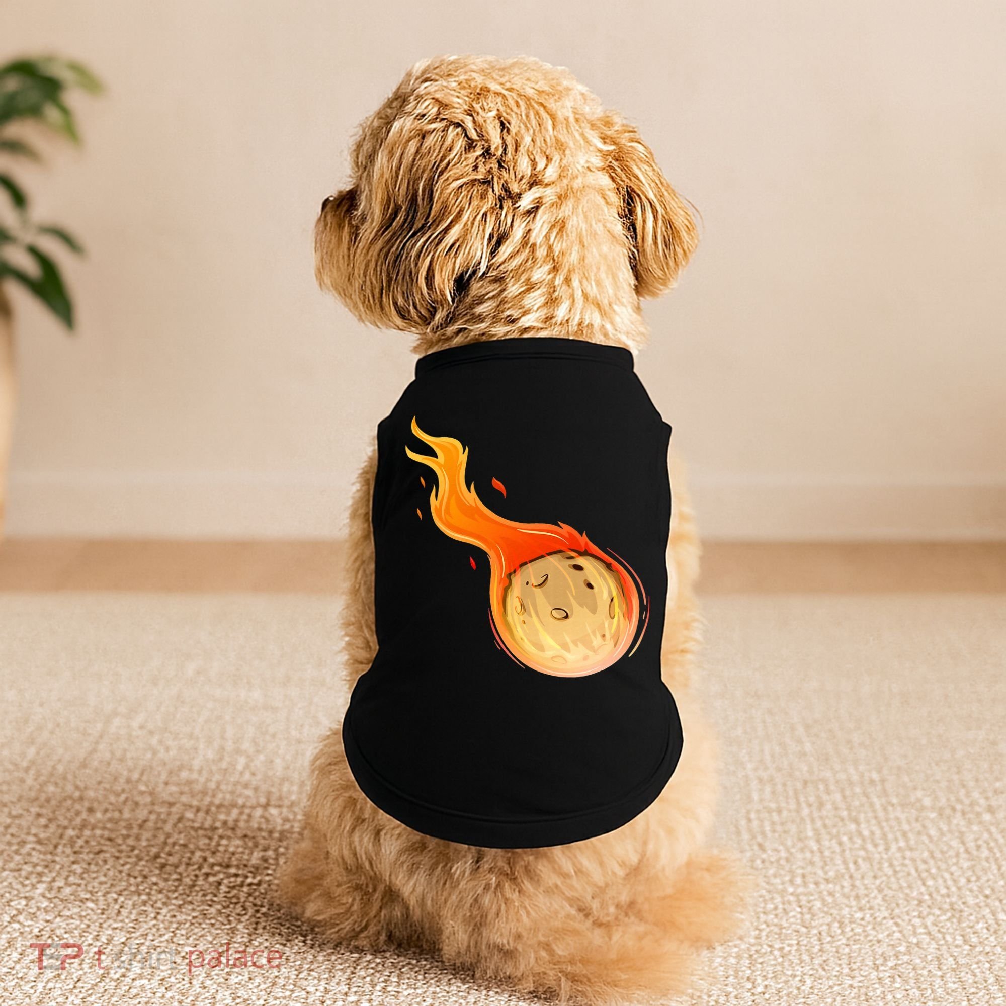 Stone Asteroid Belt Meteorite Flying Space Rock Astronomy Doggie Tank