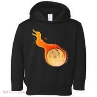 Stone Asteroid Belt Meteorite Flying Space Rock Astronomy Toddler Hoodie thumb 0