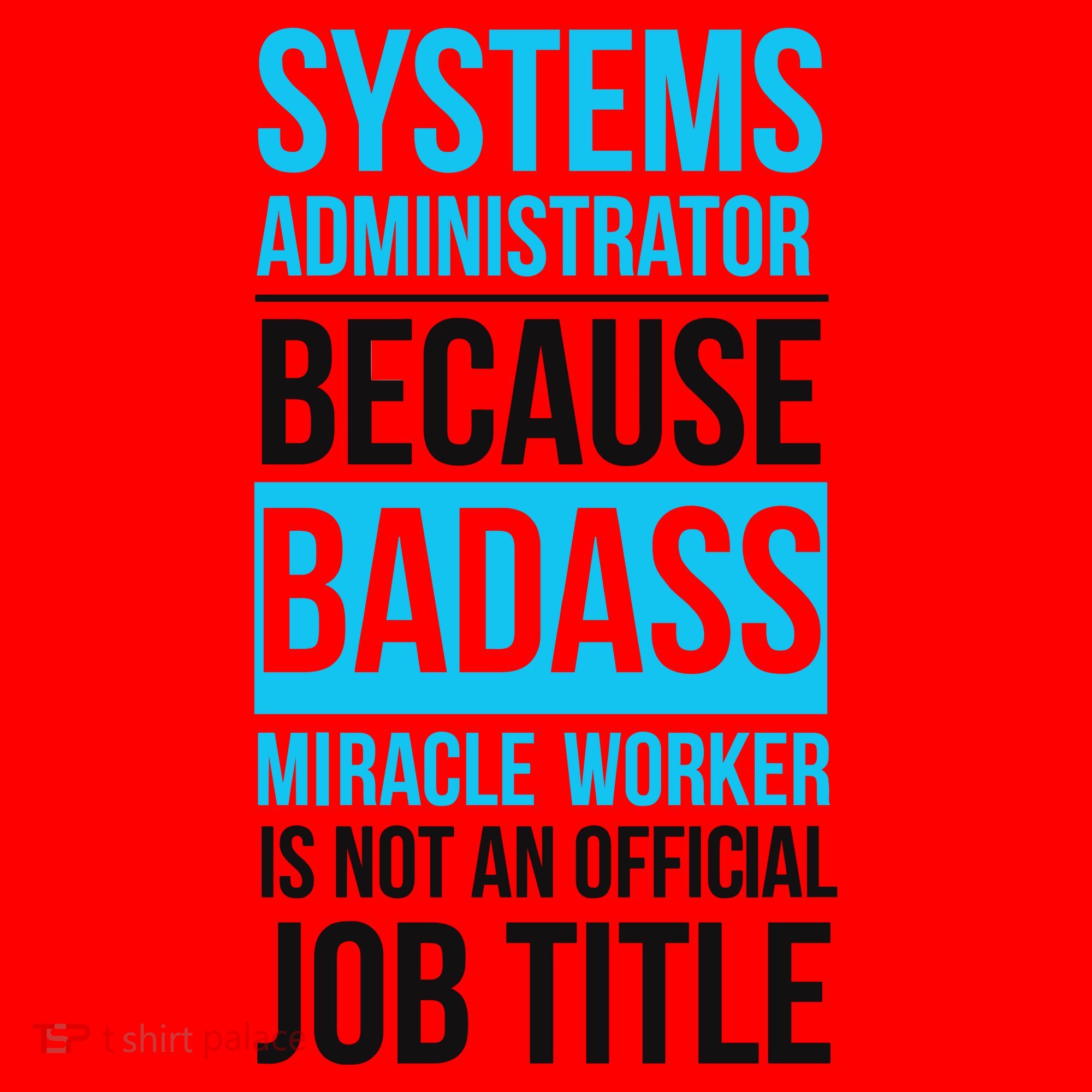 System Administrator Santa Hat