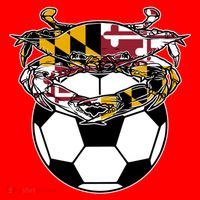 Soccer And Blue Crab Cute Gift Santa Hat thumb 1