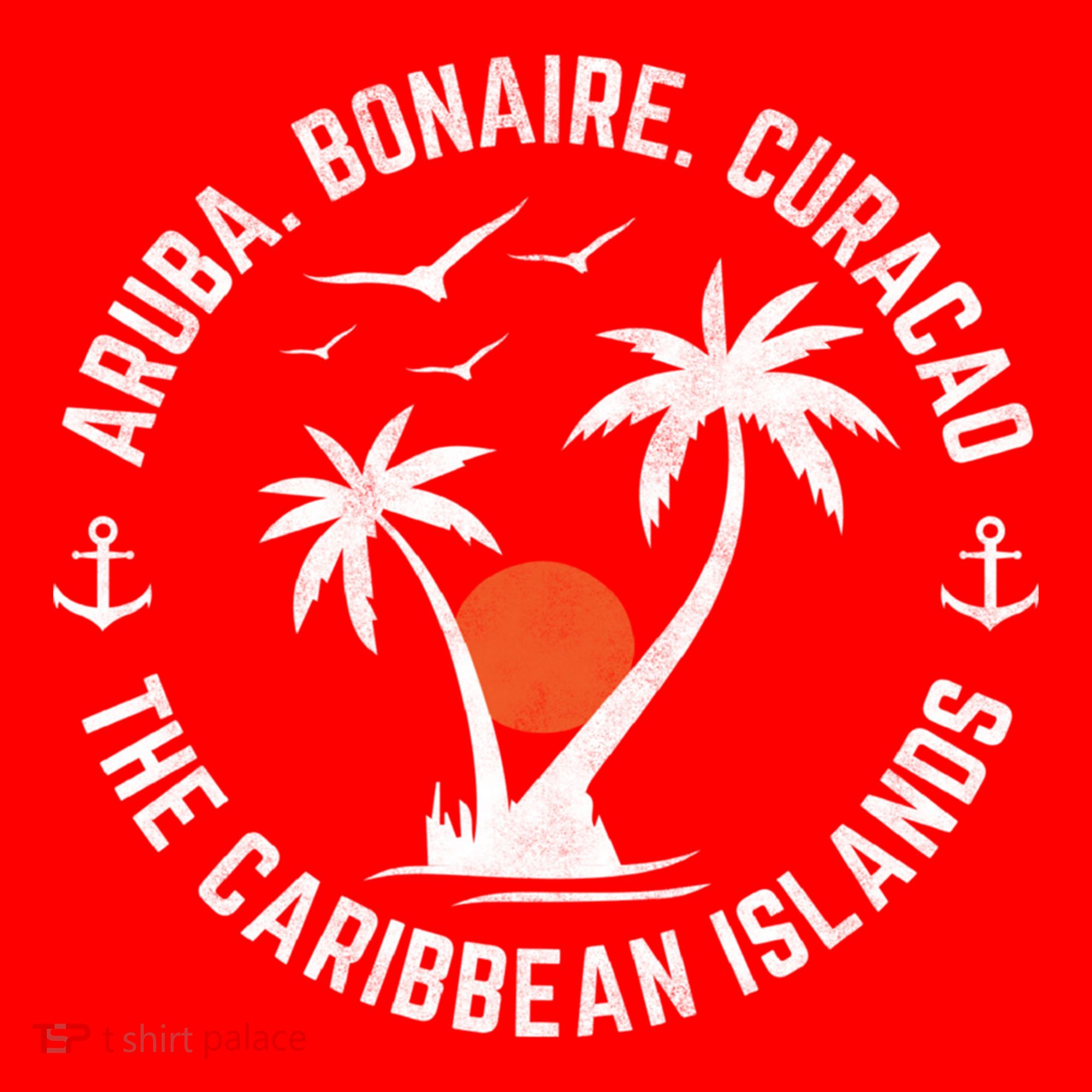 Souvenir Aruba Bonaire Curacao Caribbean Islands Vacation Gift Santa Hat