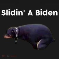 Slidin' A Biden Hoodie thumb 7