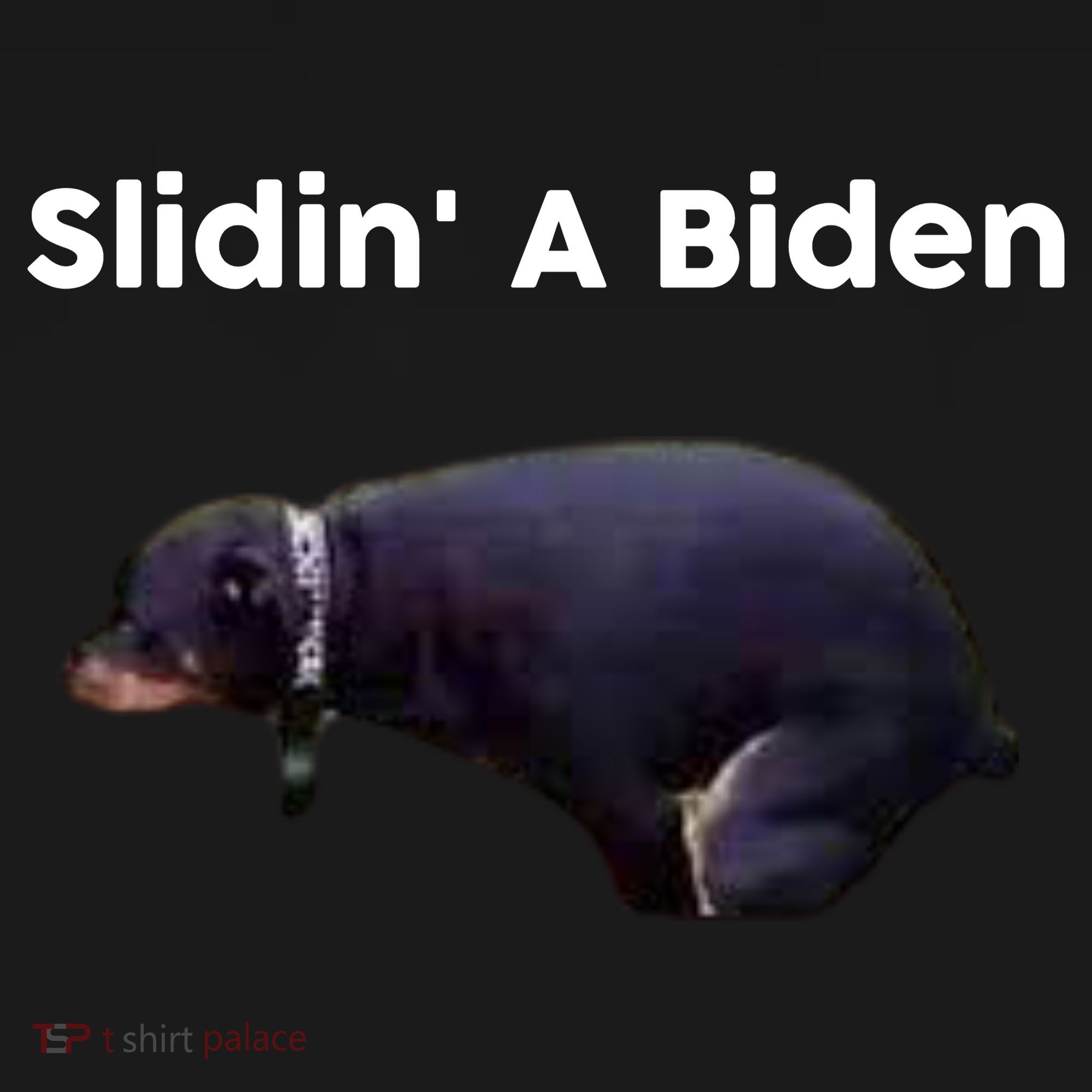 Slidin' A Biden Sweatshirt