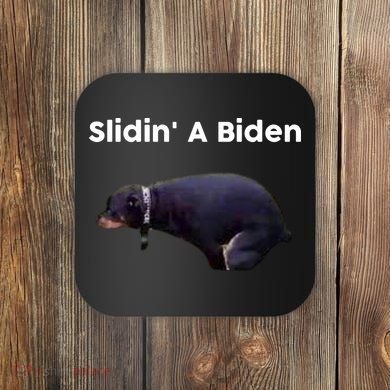 Slidin' A Biden Coaster