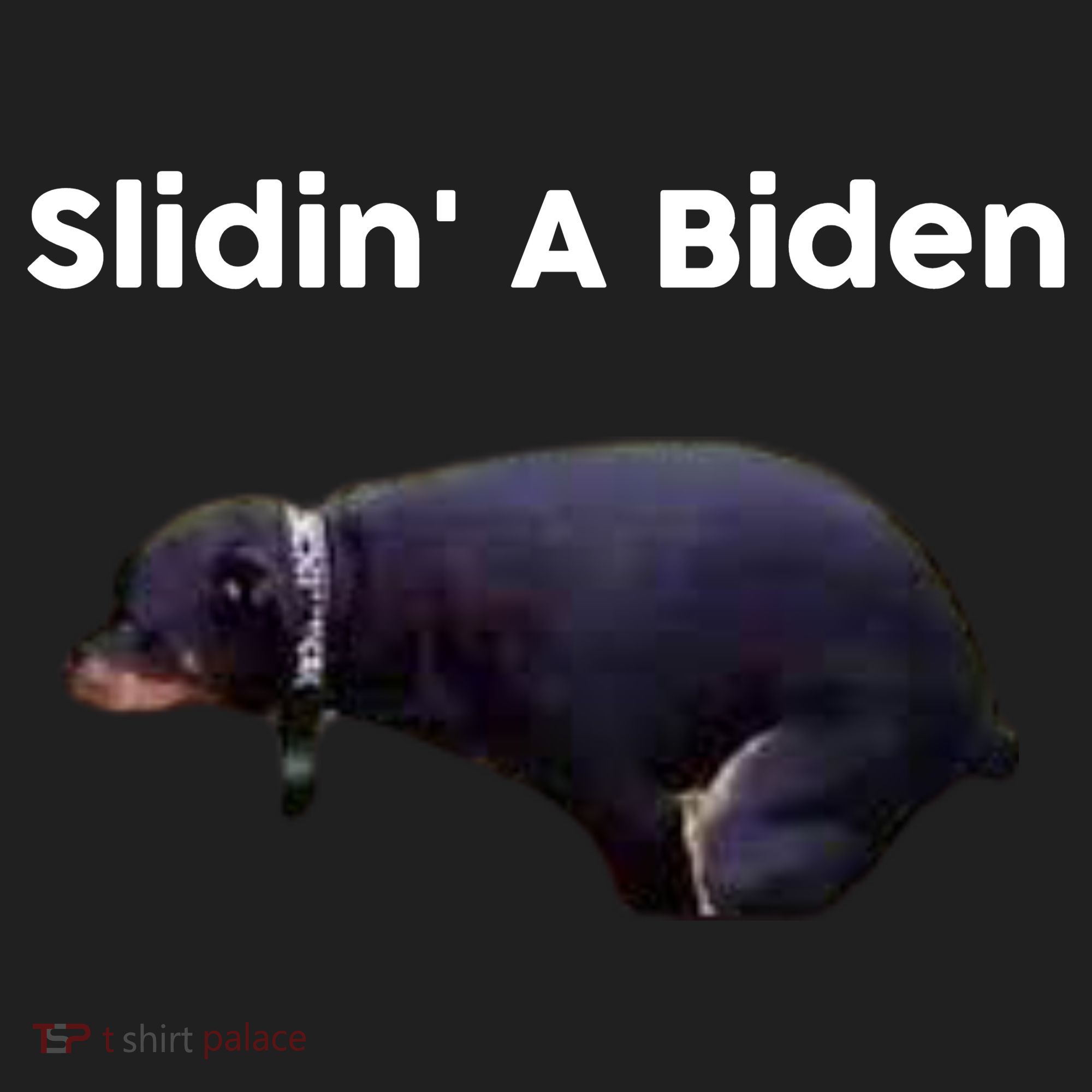 Slidin' A Biden Tumbler