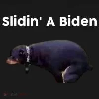 Slidin' A Biden Women's Long Sleeve Shirt thumb 2