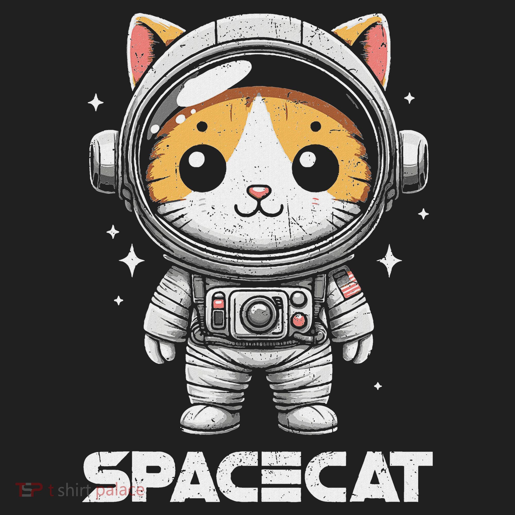 Spacecat Astronaut Cat Kitten Spaceman Cosmonaut Distressed Beanie