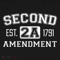 Second Amendment College University Style Ornament thumb 1