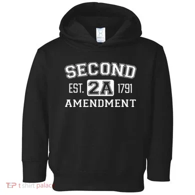 Second Amendment College University Style Toddler Hoodie