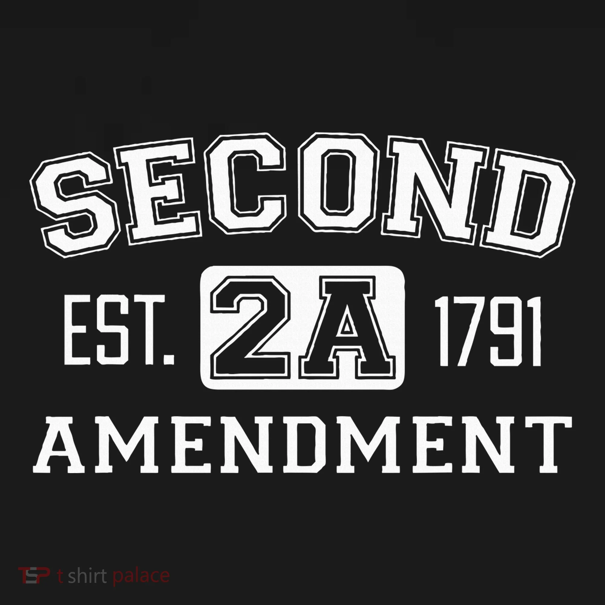 Second Amendment College University Style Toddler Hoodie