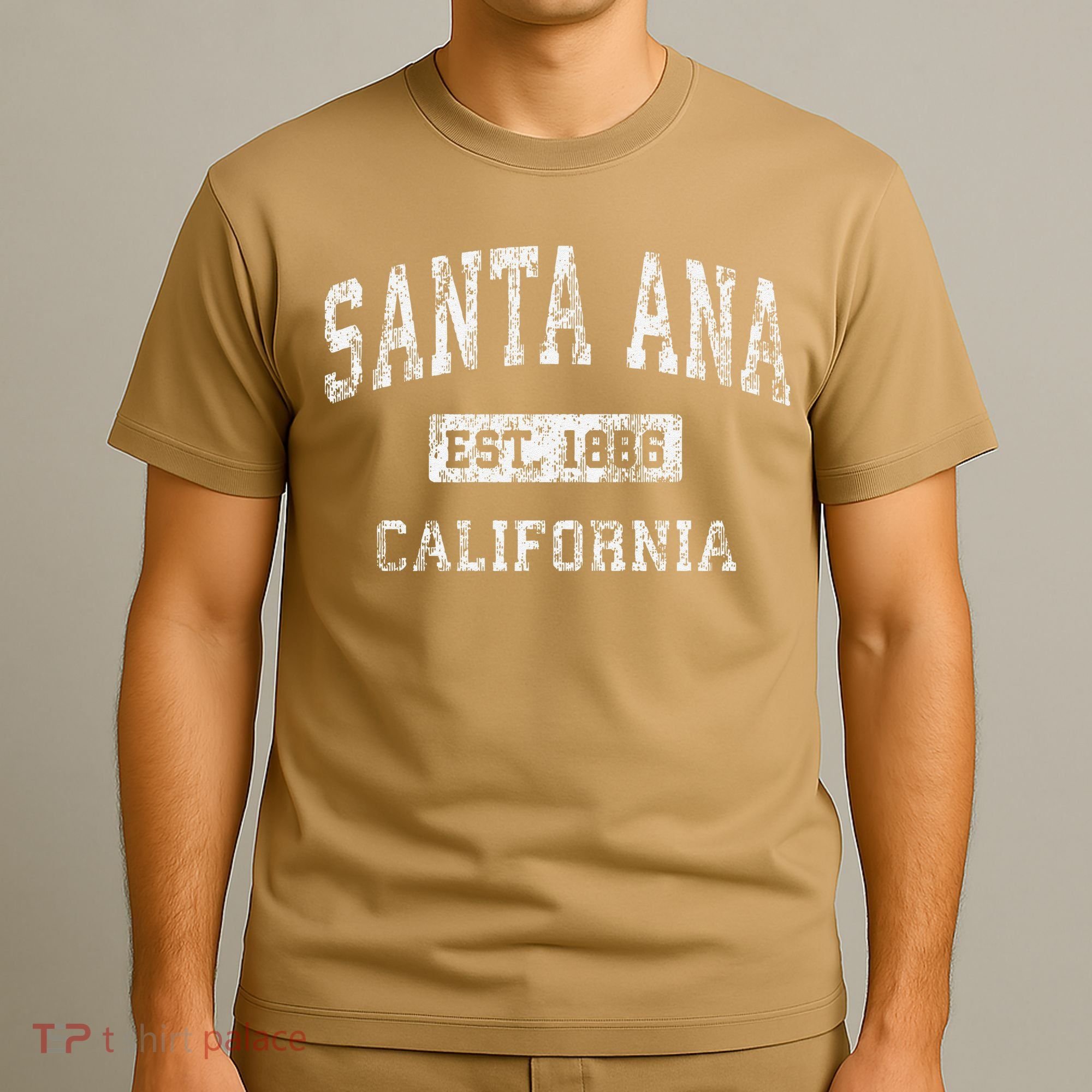 Santa Ana California Ca Vintage Established T-Shirt