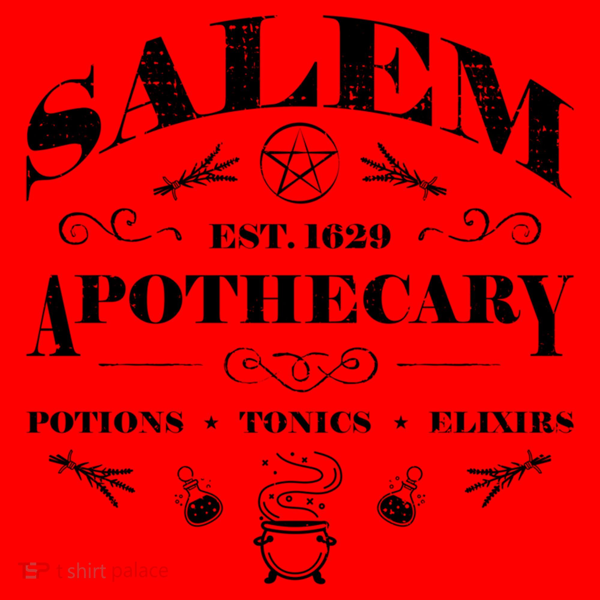 Salem Apothecary Cool Gift Santa Hat
